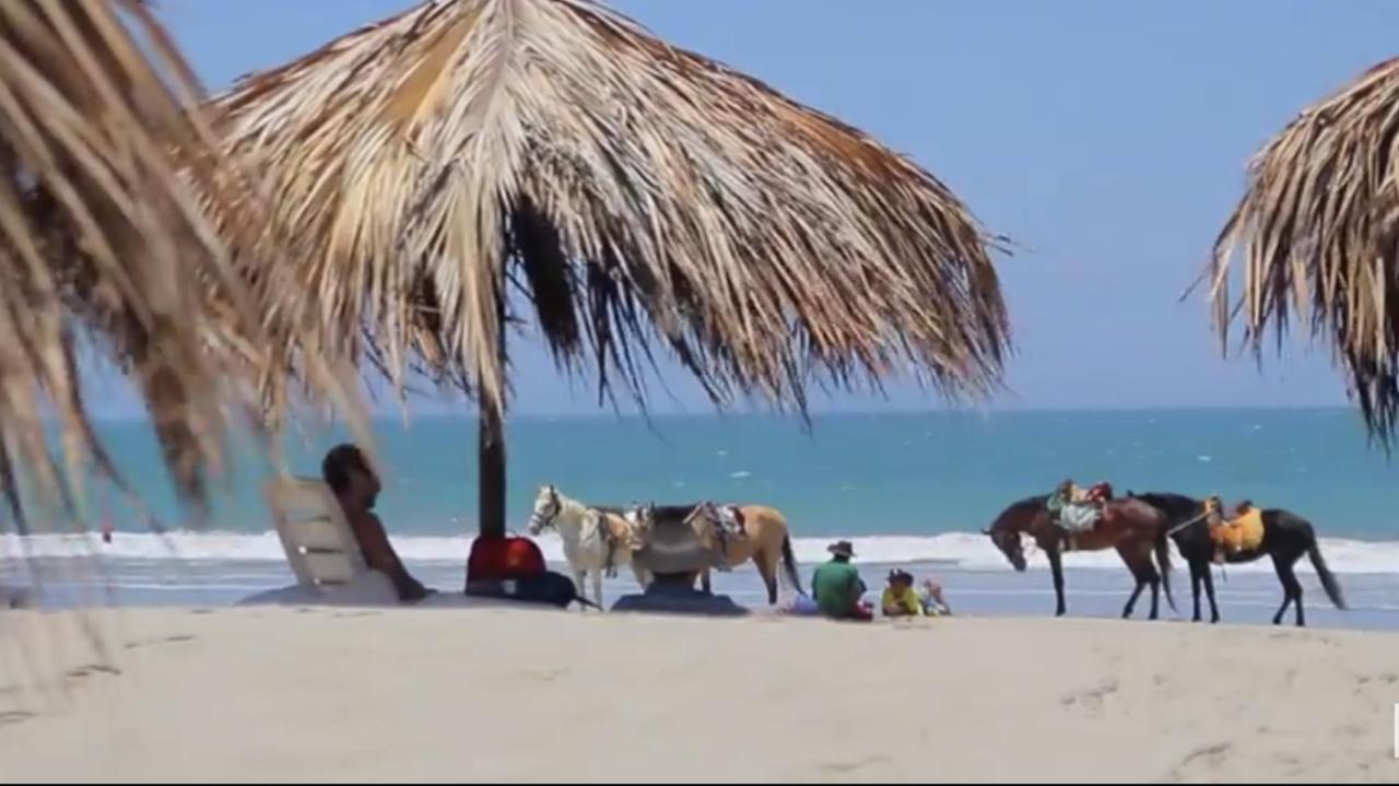 Paradise En * Vichayito